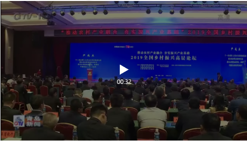 中国经济体制改革基金会众媒聚焦丨2019全国乡村振兴高层论坛在平度召开,探讨推广乡村振兴