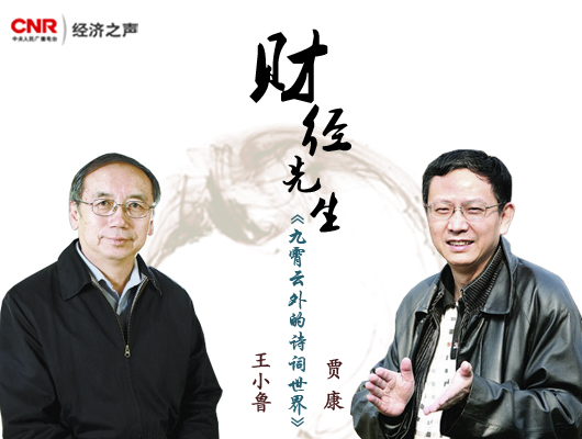中国经济体制改革基金会王小鲁对话贾康:九霄云外的诗词世界